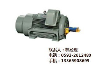 电机aeef1 2hp 4p,龙海电机,厦门东盛机电