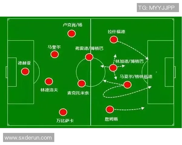 广州篮球队的战术节奏解析与深度剖析探讨